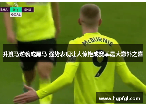 升班马逆袭成黑马 强势表现让人惊艳成赛季最大意外之喜