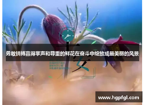 勇敢拼搏赢得掌声和尊重的鲜花在奋斗中绽放成最美丽的风景