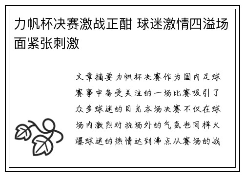 力帆杯决赛激战正酣 球迷激情四溢场面紧张刺激